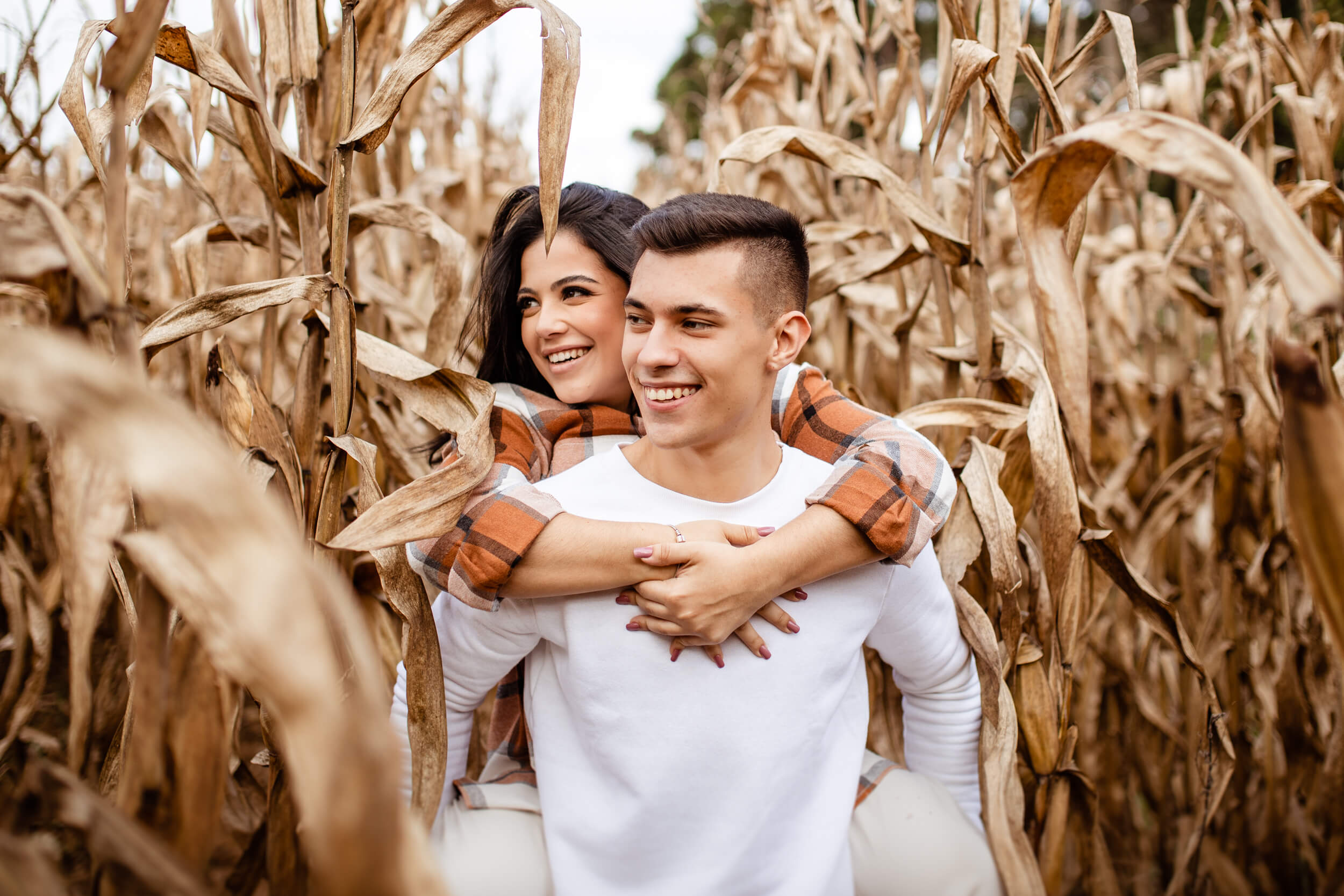 ensaio casal em plantação milho