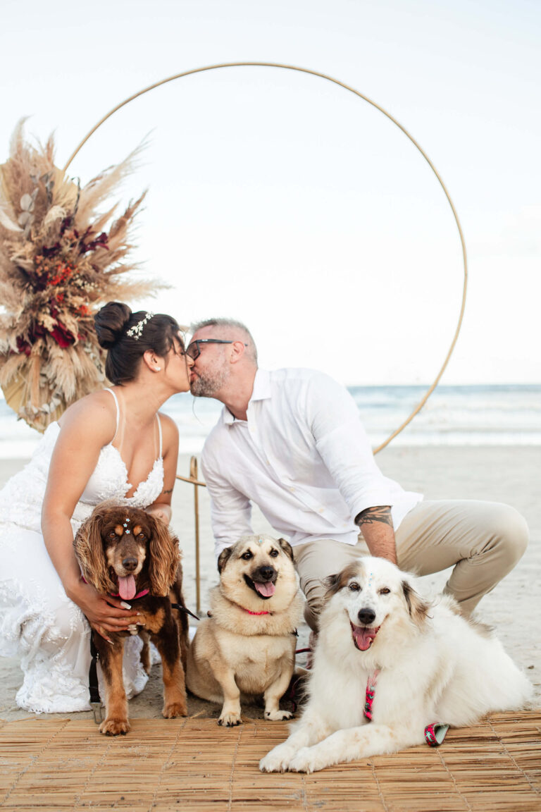Casamento na praia com cachorros